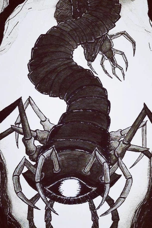 Koh card art